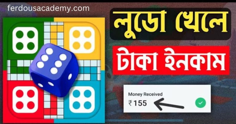 লুডু খেলে টাকা আয় বিকাশে