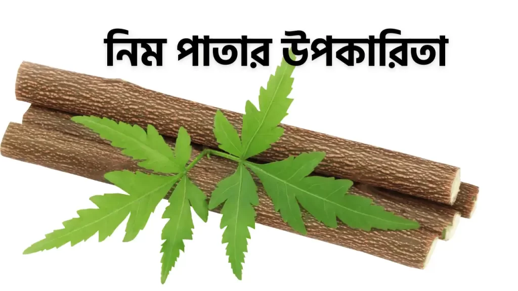 নিম পাতার উপকারিতা