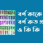 বর্ণ কাকে বলে কত প্রকার ও কি কি
