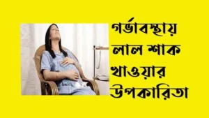 গর্ভাবস্থায় লাল শাক খাওয়ার উপকারিতা