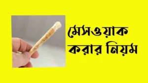 মেসওয়াক করার নিয়ম
